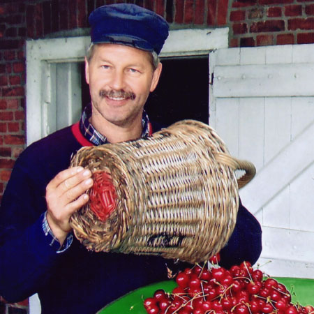 Klaus Rieper bei der Kirschernte im Alten Land